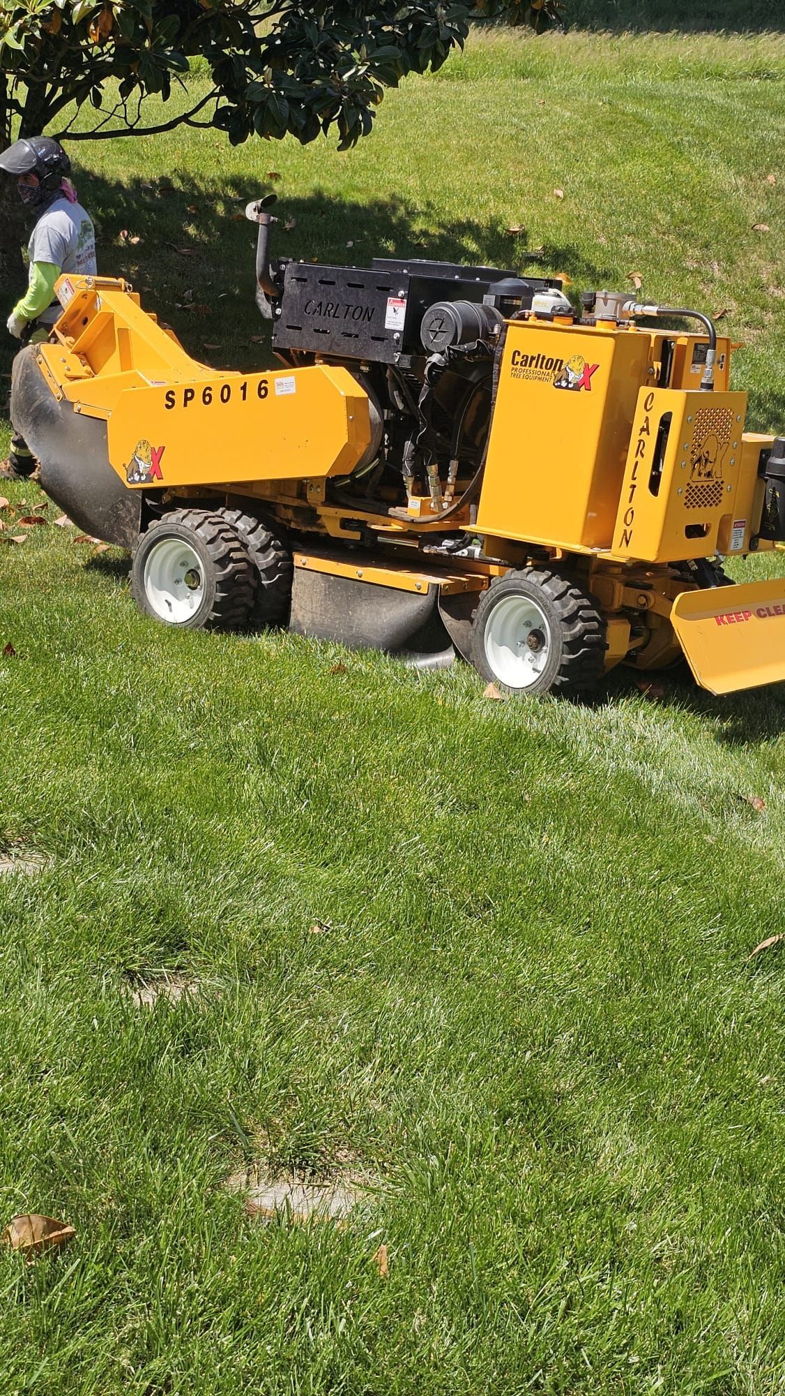 Yellow stump grinder on grass in a yard, with a worker wearing a hard hat operating it.