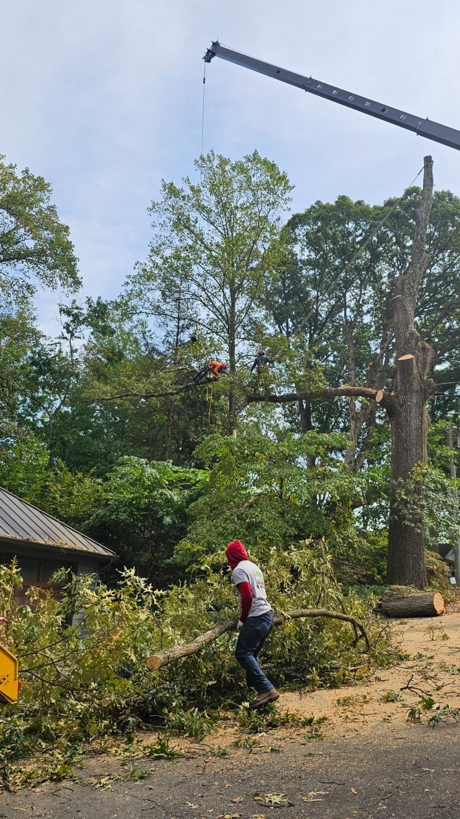 Worker in red helmet clearing branches beside a road near tall trees and a roofed structure