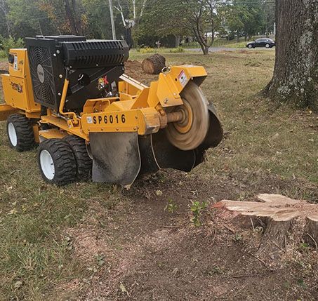 Yellow stump grinder cutting a tree stump in a grassy yard with trees nearby