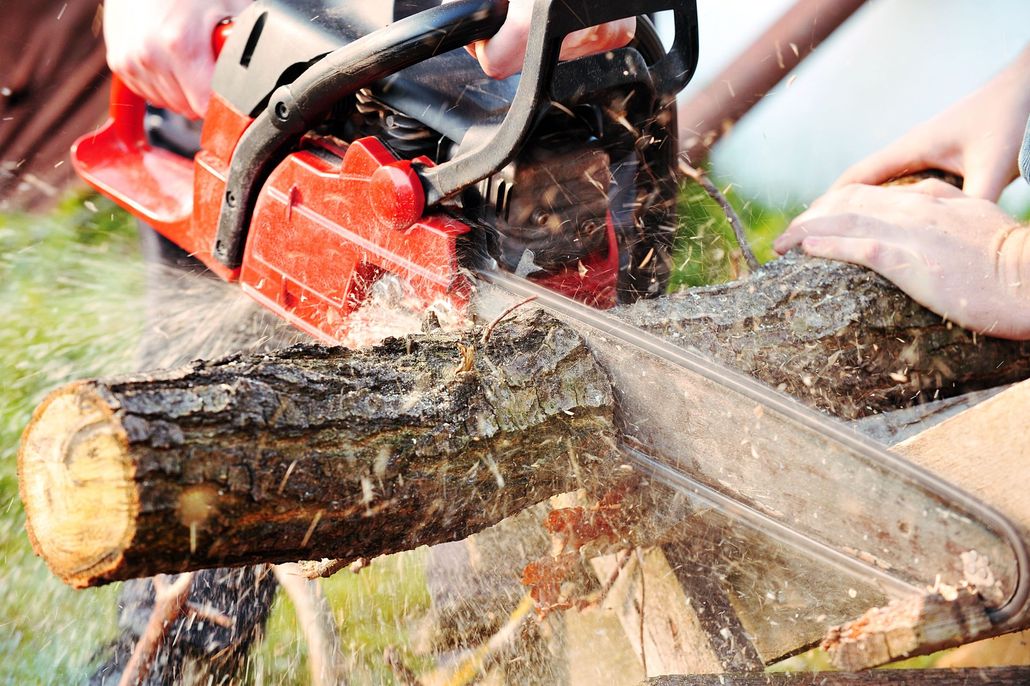 A red chainsaw cuts through a log, spraying wood chips outdoors.