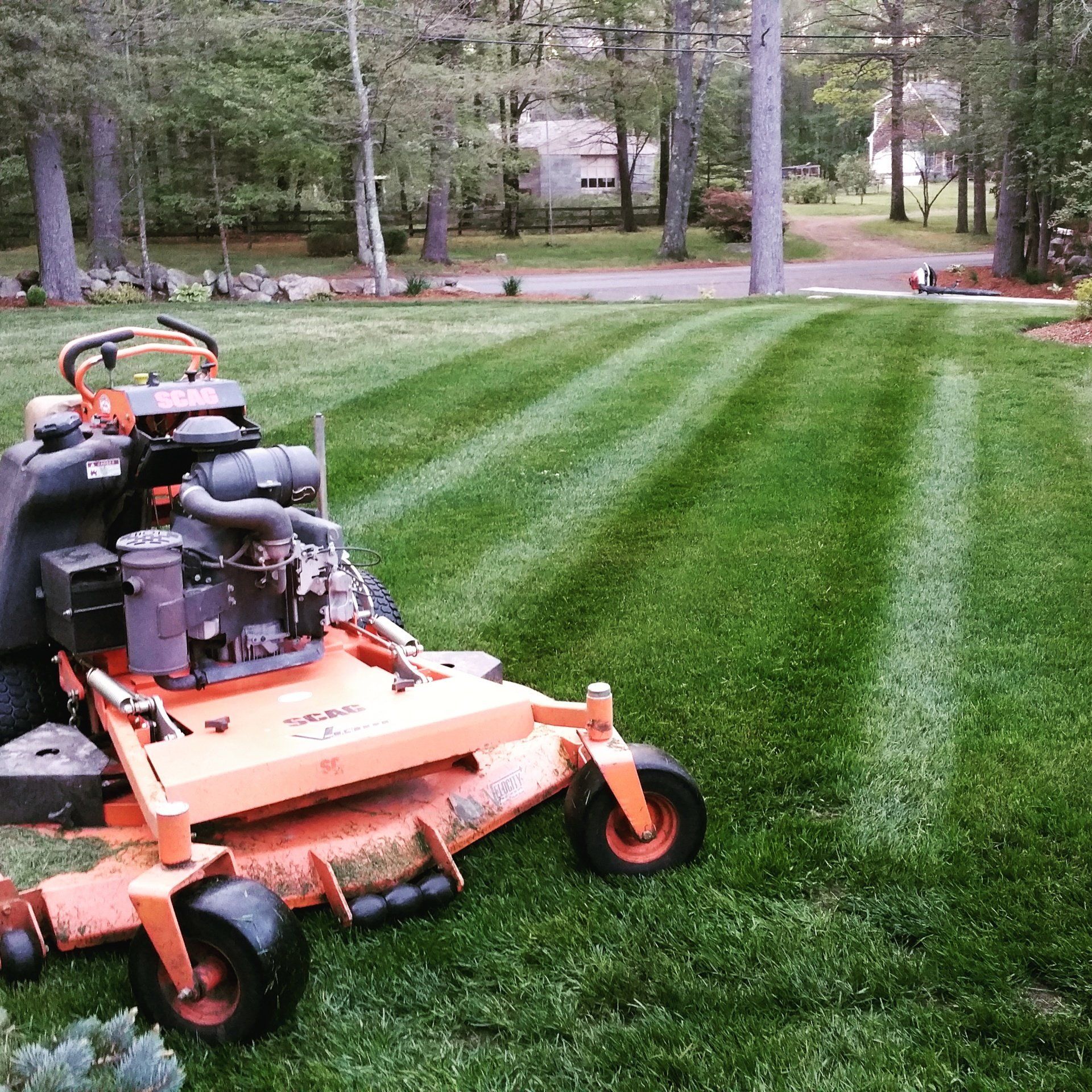 Lawn maintenance