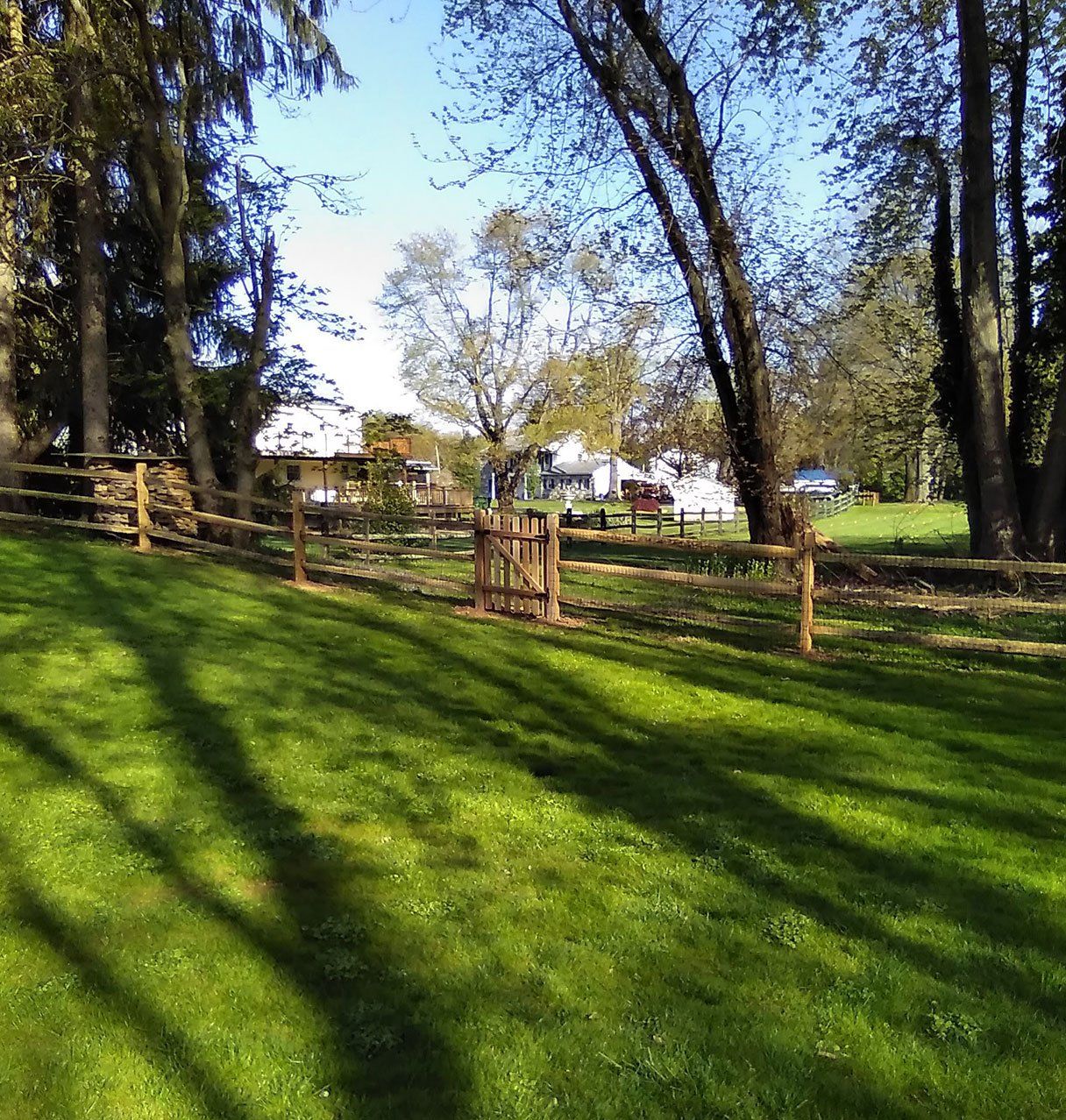 Post and rail fence