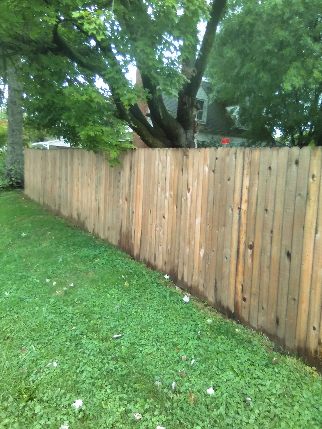 Wooden fence