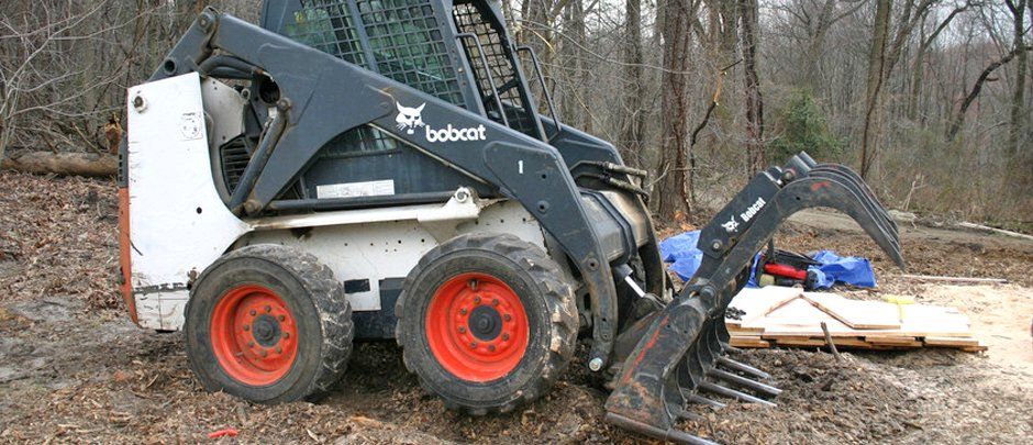 Bobcat clean-up