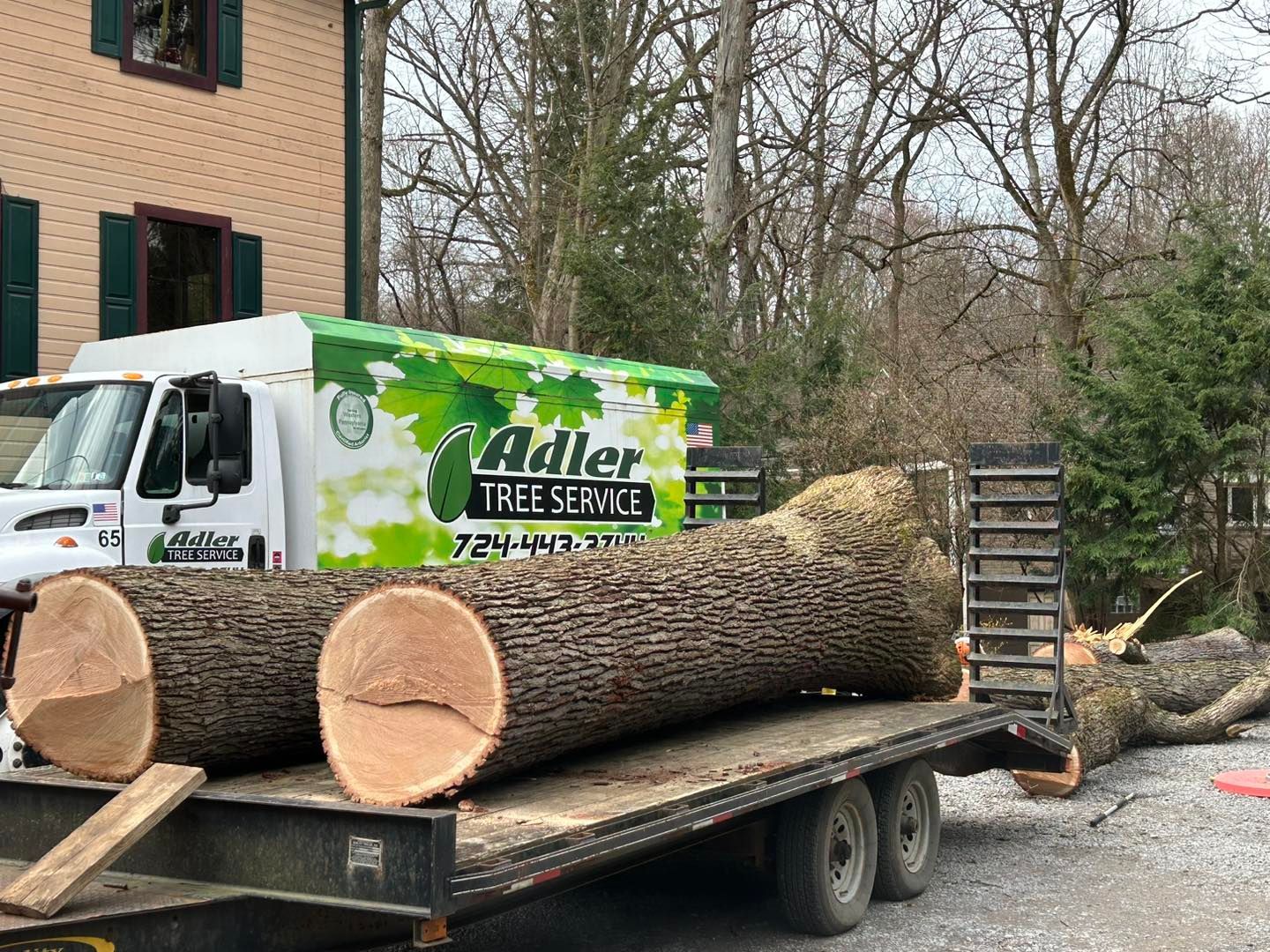 Adler Tree Service & Landscaping
