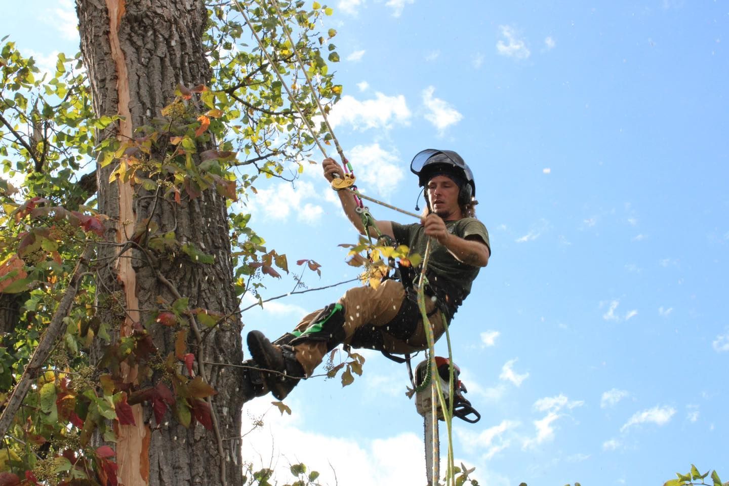 A man is climbing a tree on a rope.