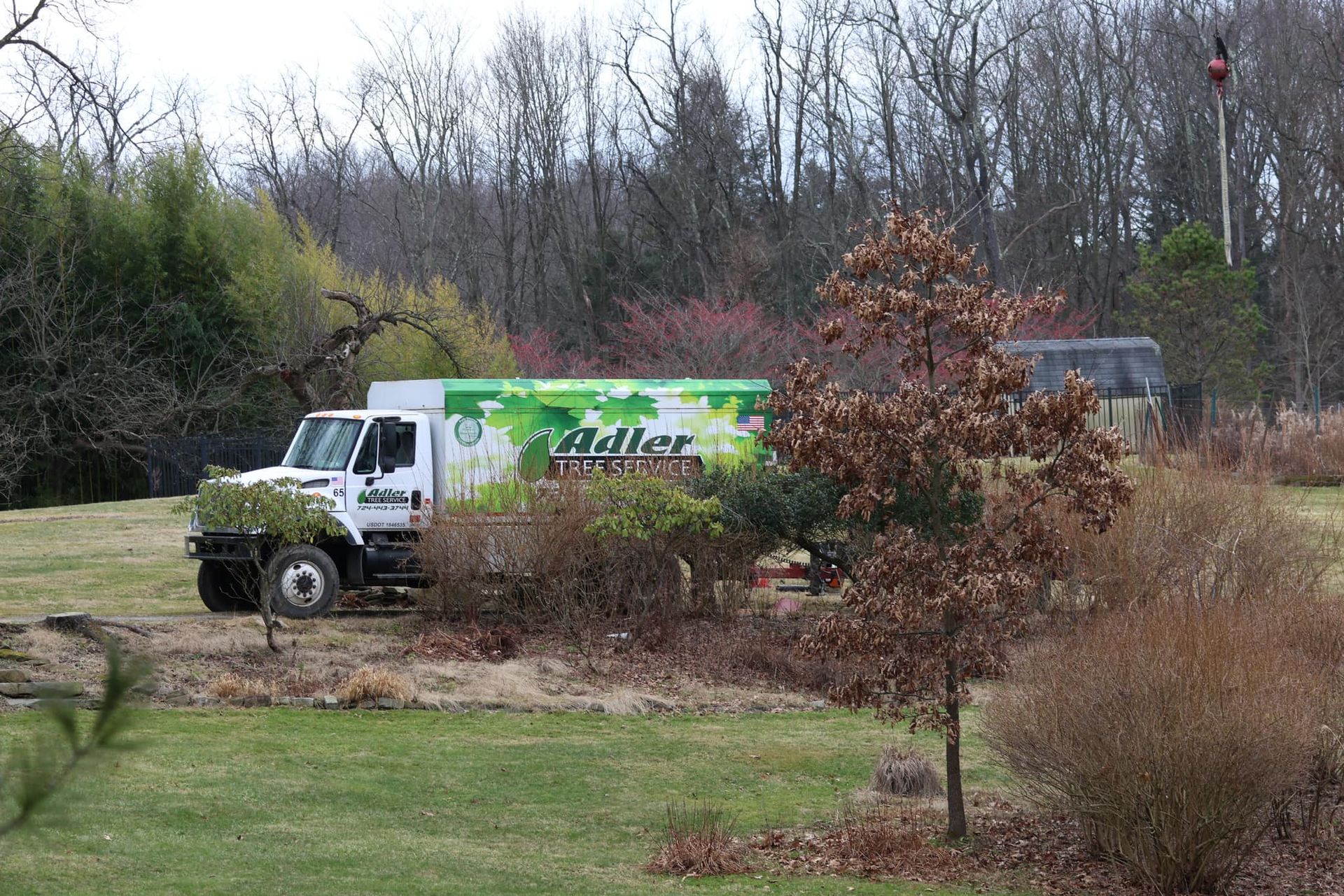 Adler Tree Service & Landscaping