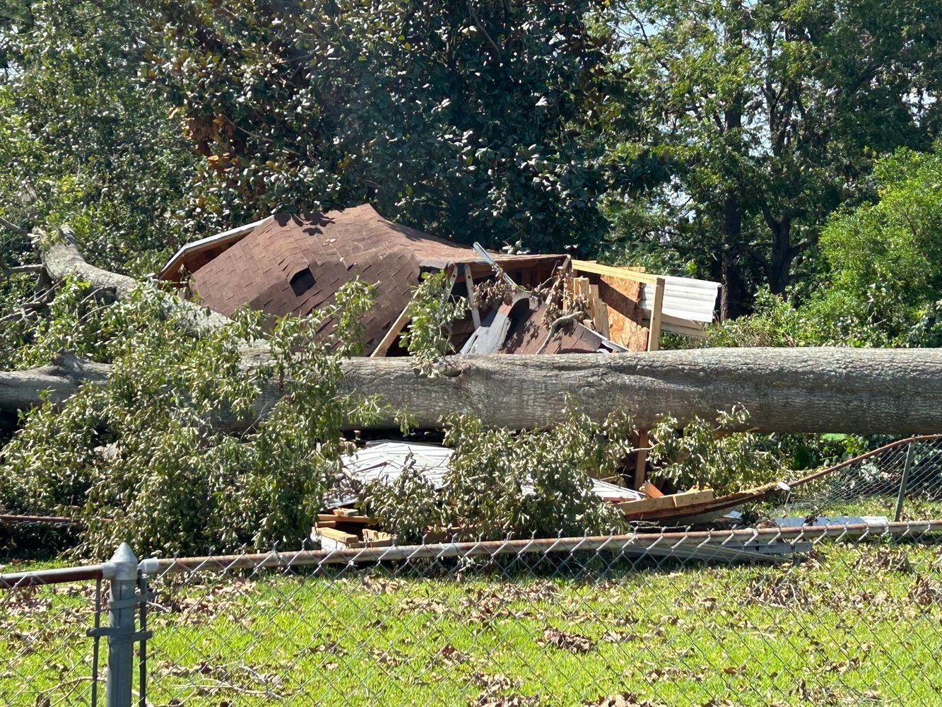 A tree that has fallen on a fence and a house in the background.