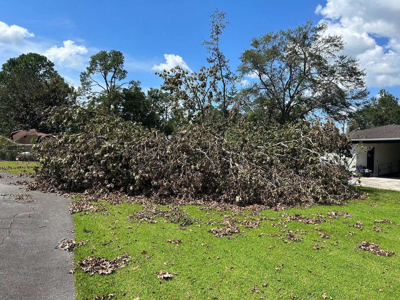 A large tree is laying on the ground in front of a house.