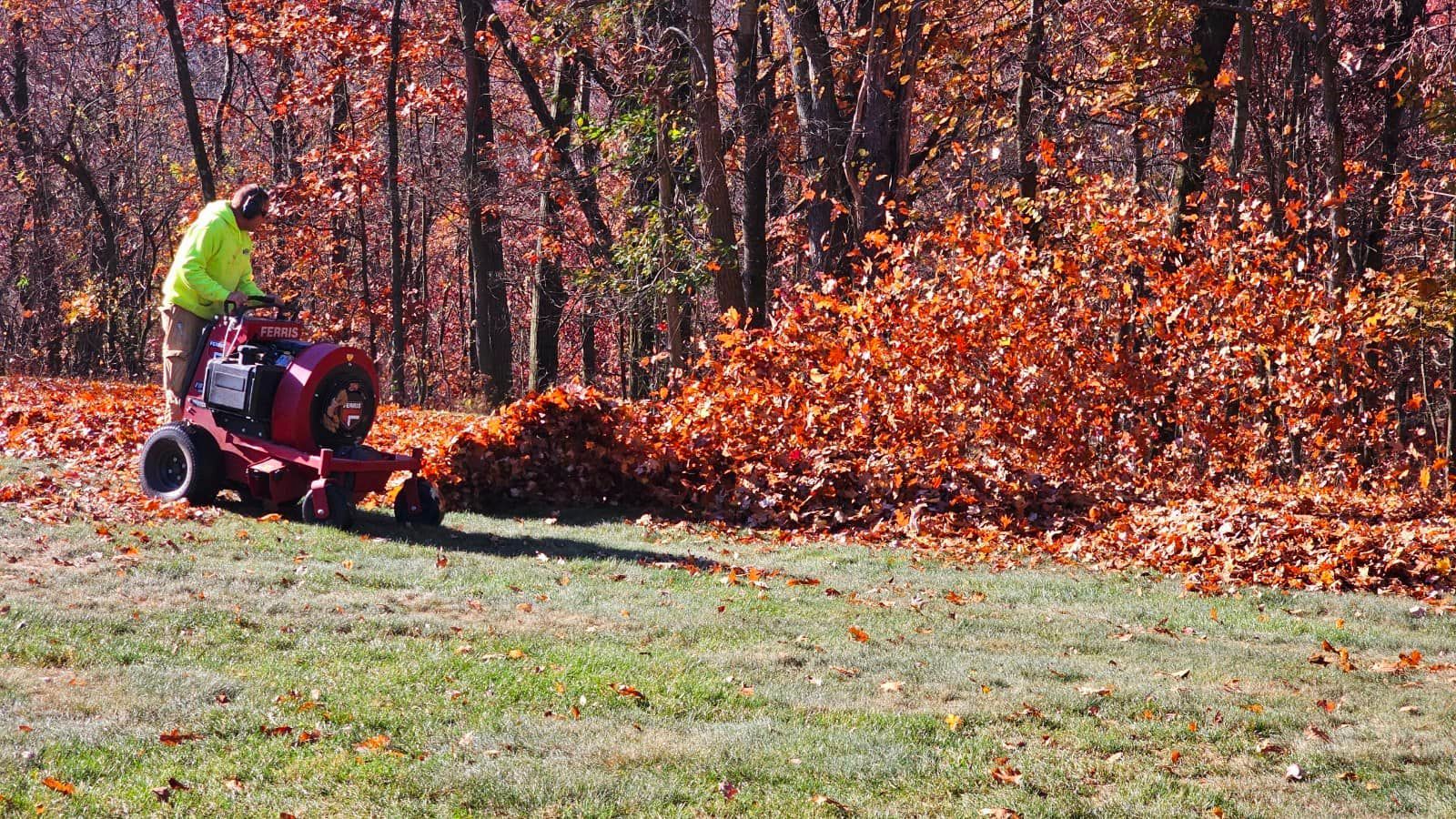 Adler Tree Service & Landscaping