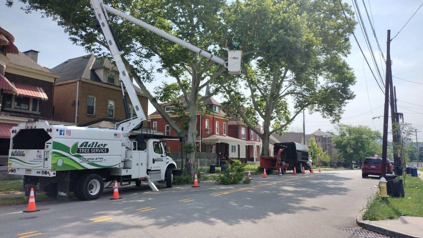 A tree trimming truck is parked on the side of the road.