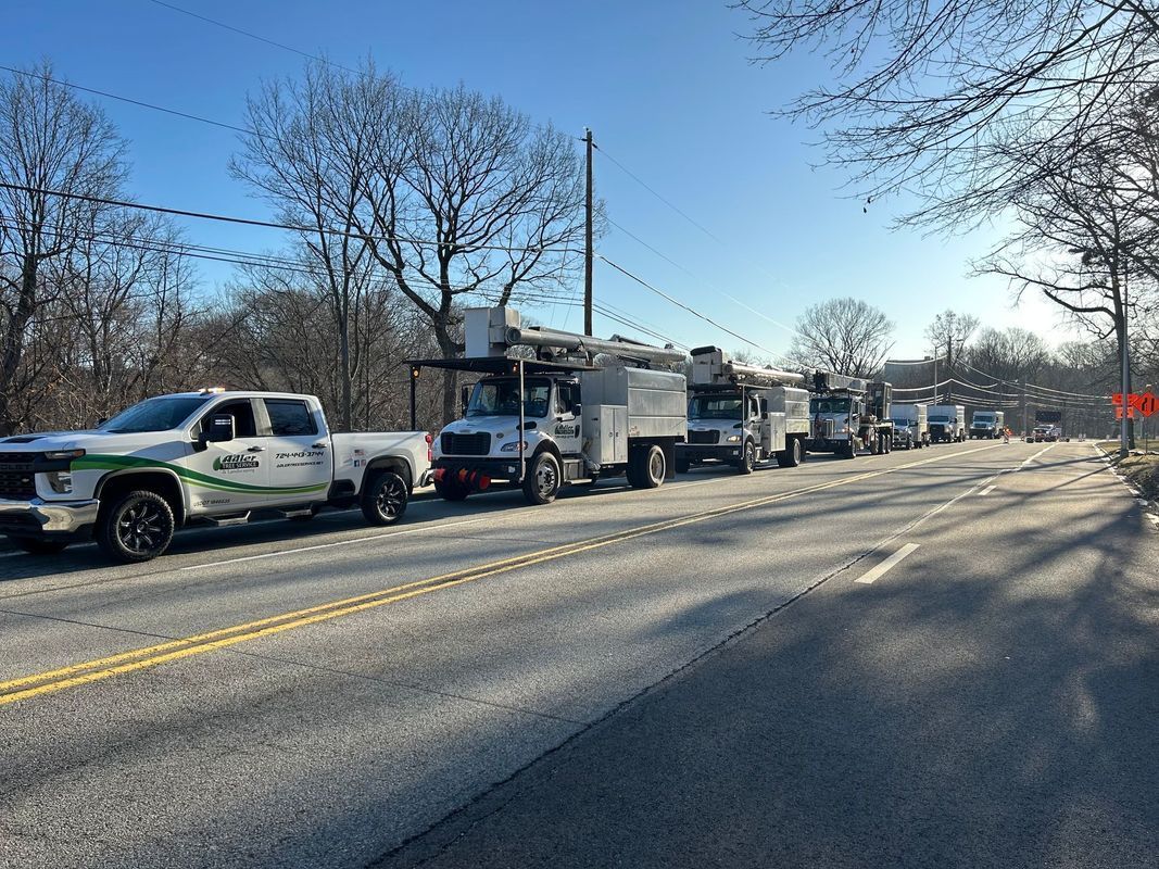 A row of trucks are parked on the side of a road.