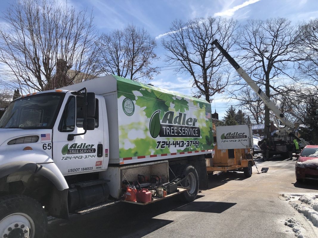 A white and green truck is parked on the side of the road.