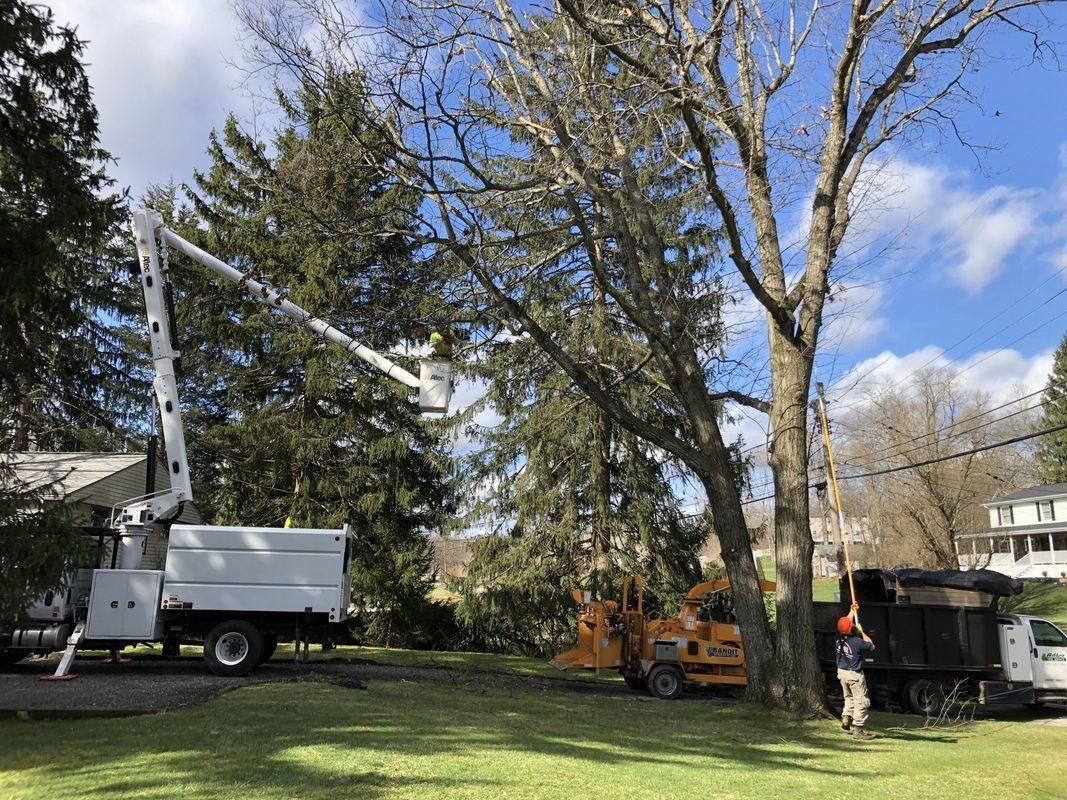 A man is cutting a tree with a crane in a yard.