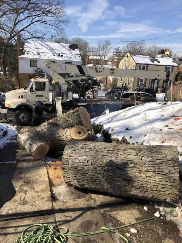 A large log is sitting on the ground next to a truck.