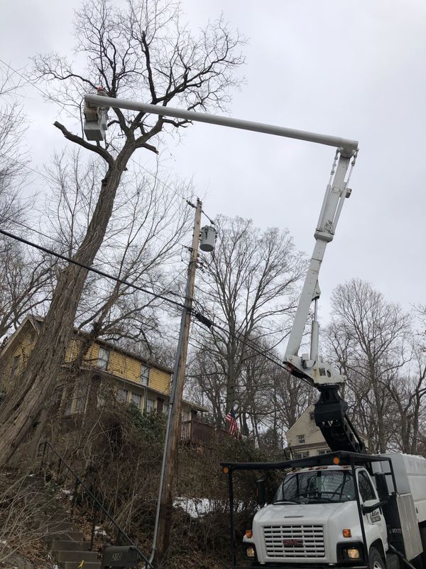 A white truck with a crane attached to it is cutting a tree.