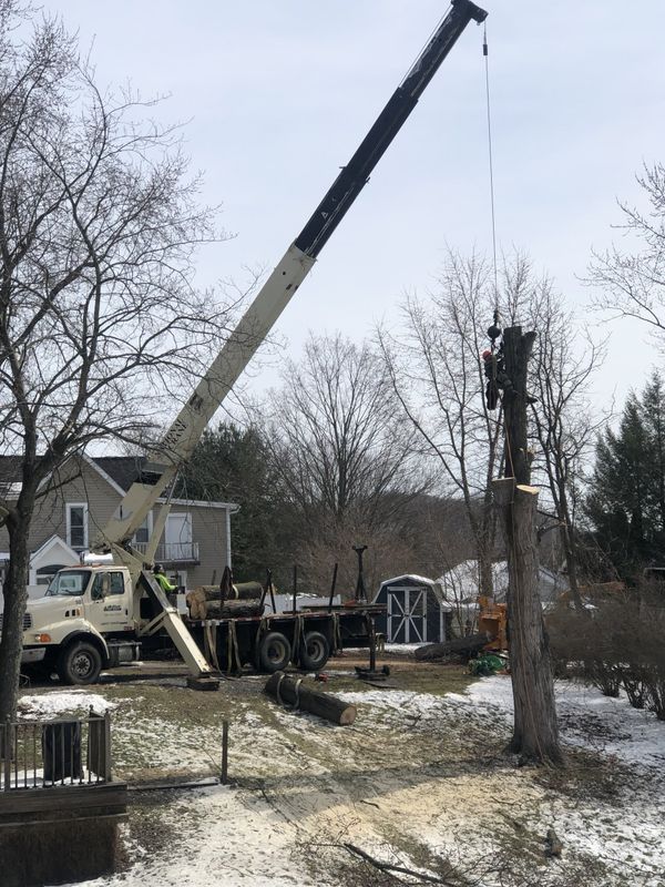 A crane is lifting a tree stump in a snowy yard.