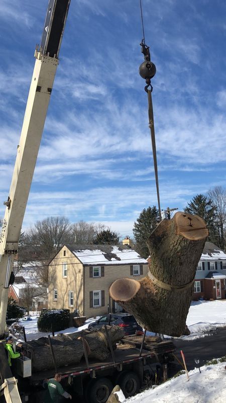 A large tree stump is being lifted by a crane.