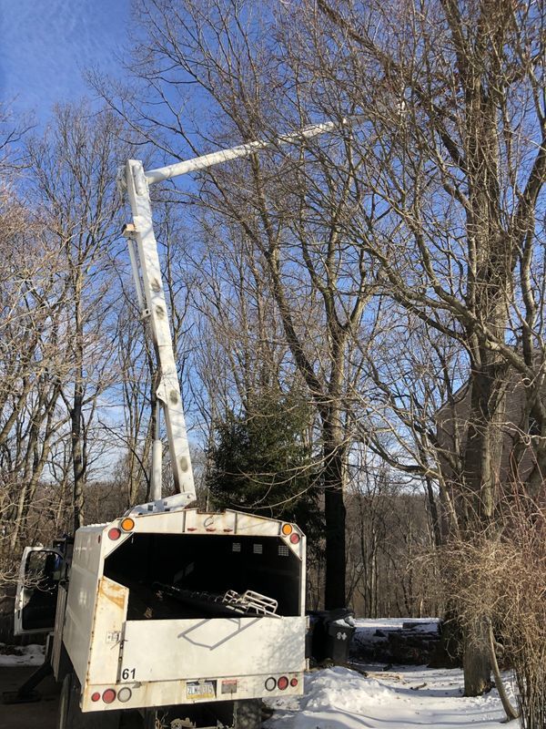 A white truck is cutting a tree in the snow.