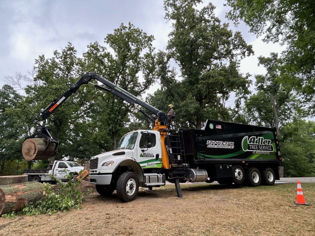 A truck is carrying a large log in its crane.