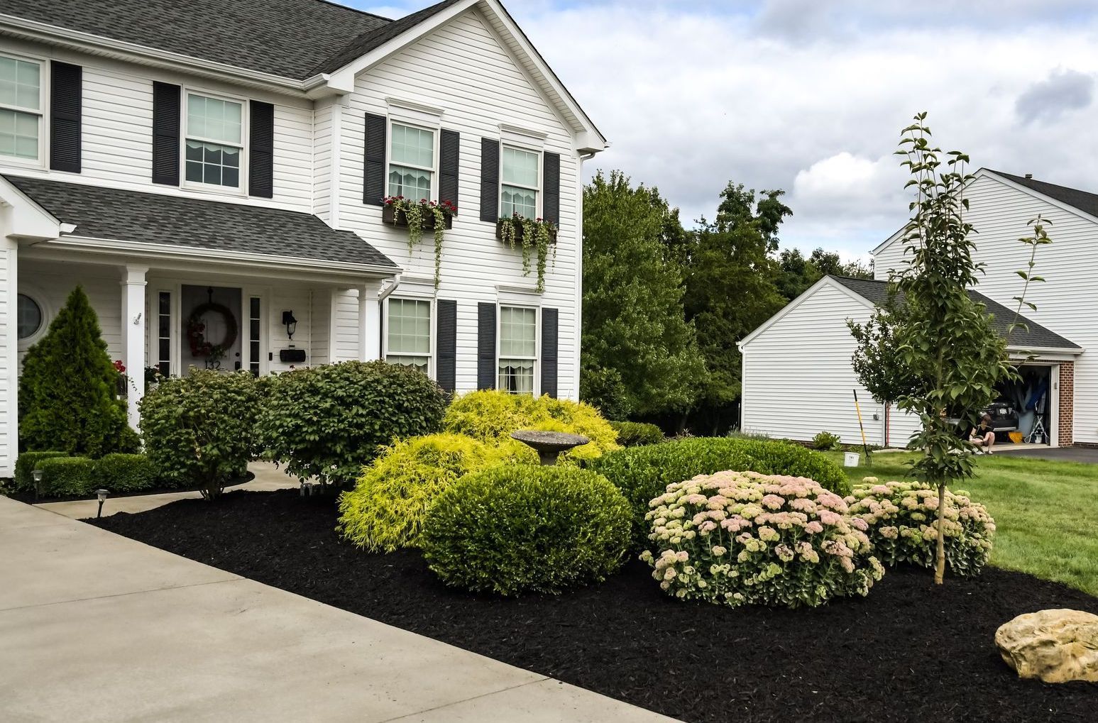 Adler Tree Service & Landscaping