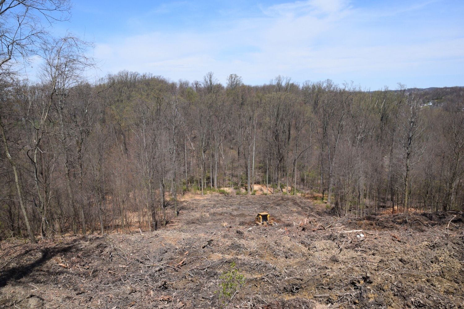 A field with a lot of trees in the background