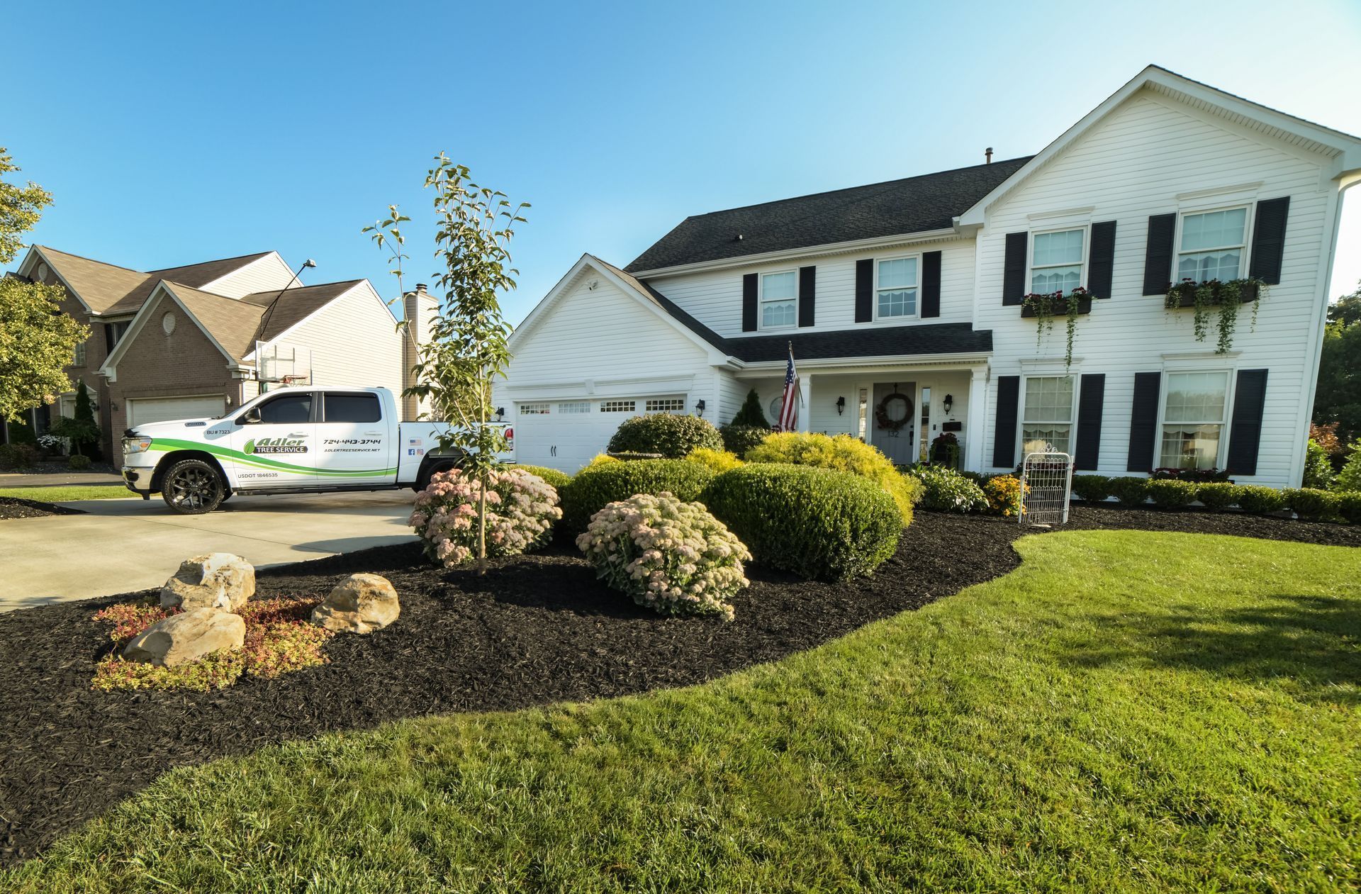 Adler Tree Service & Landscaping