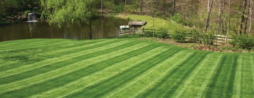 A lush green lawn with a lake in the background.