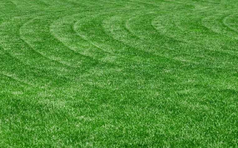 A close up of a lush green lawn with a circular pattern.