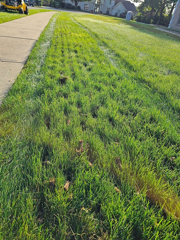 A lush green lawn next to a sidewalk with holes in it.