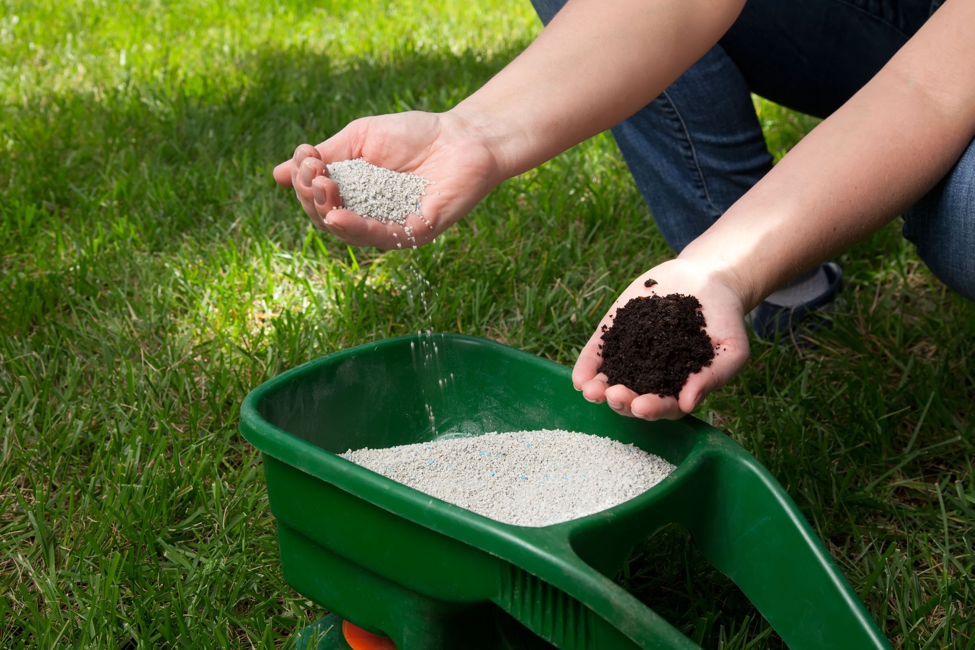 A person is spreading fertilizer on a lawn with a wheelbarrow.