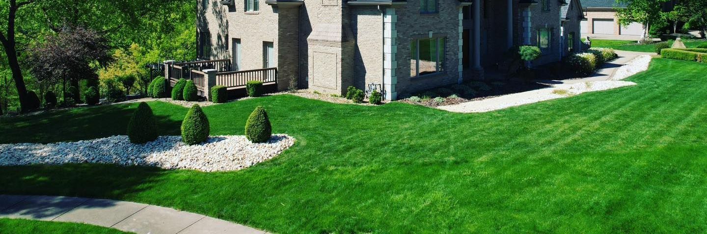 Adler Tree Service & Landscaping