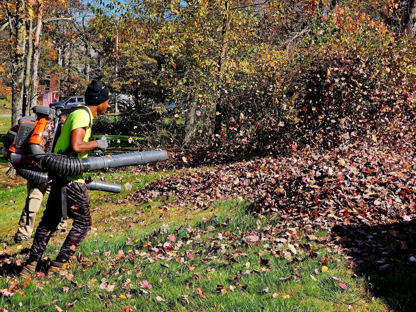 Adler Tree Service & Landscaping