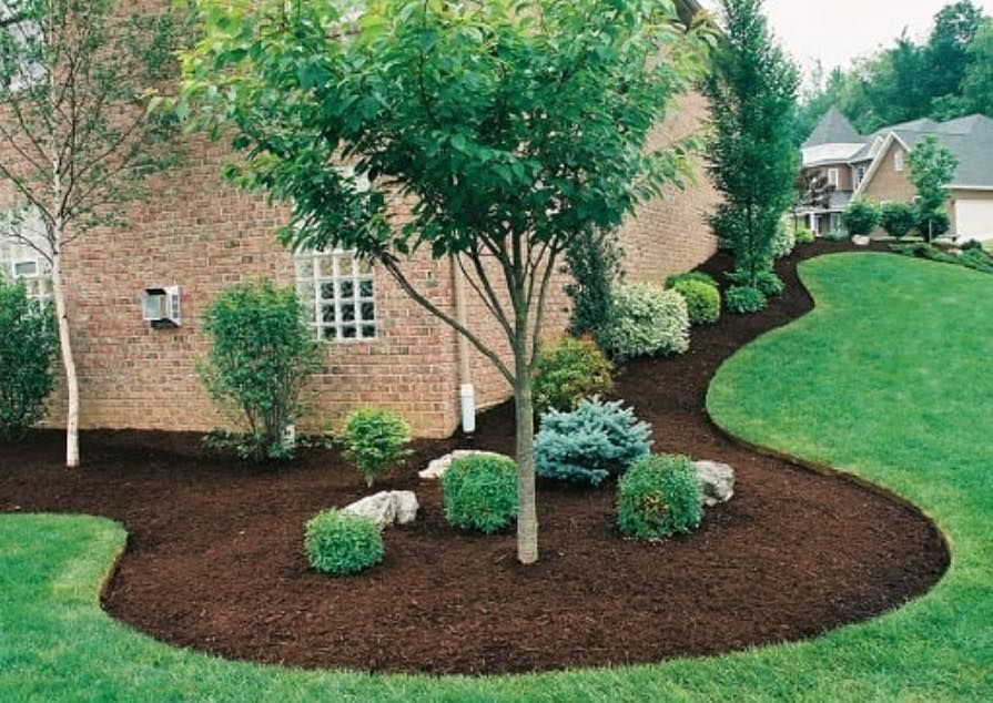 A lush green lawn with a tree in the middle