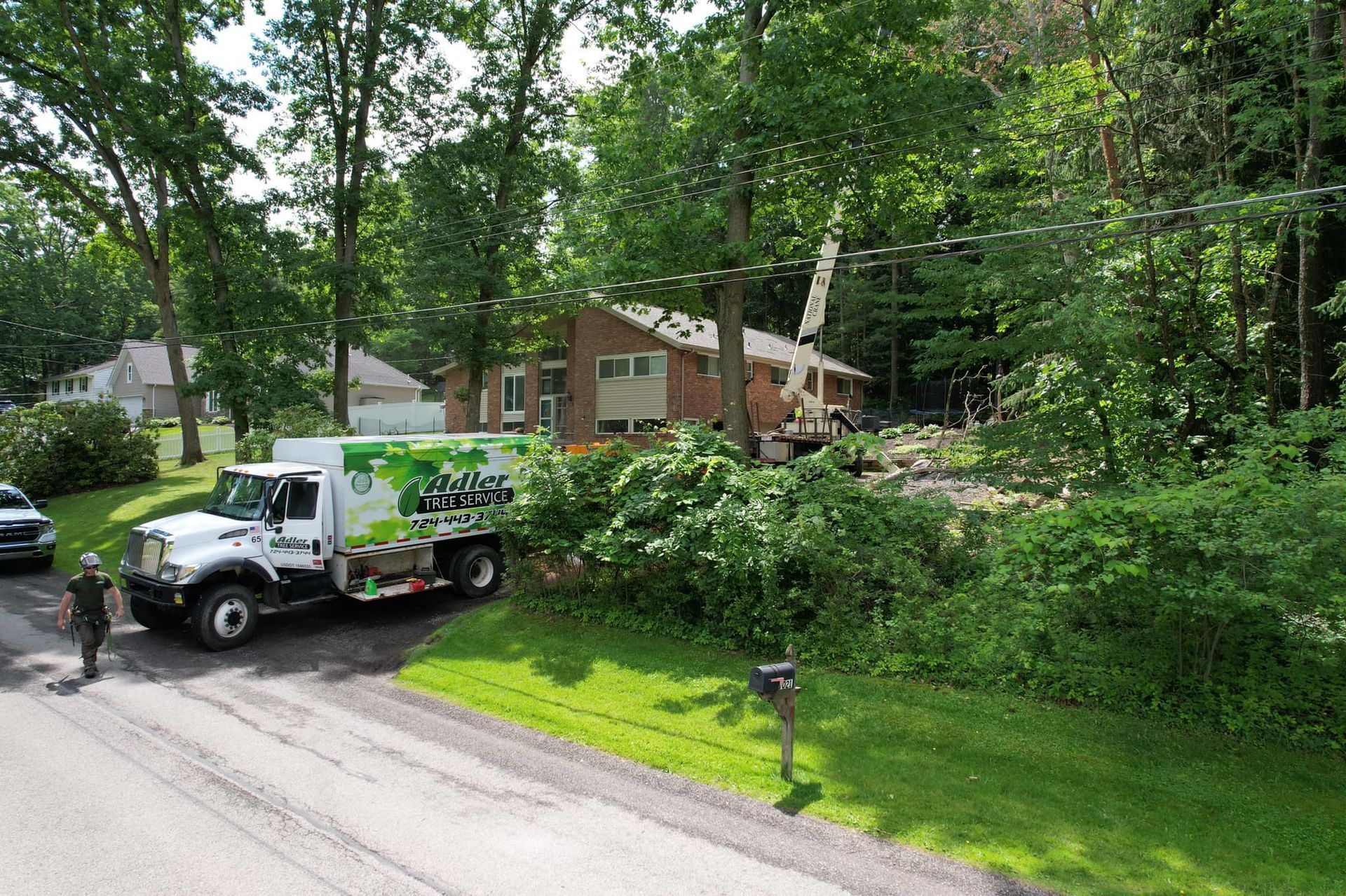 Adler Tree Service & Landscaping