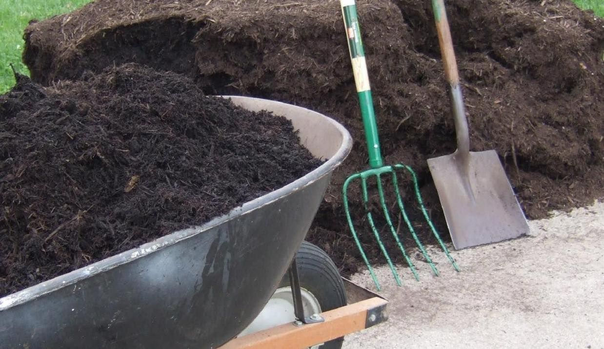 Adler Tree Service & Landscaping