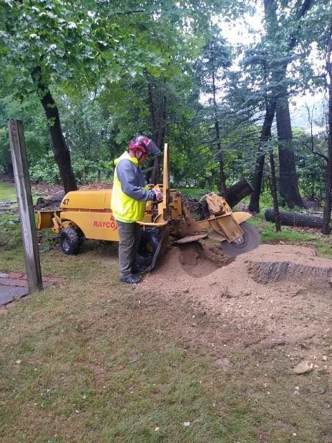 A man is using a stump grinder to remove a tree stump.