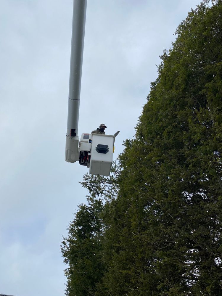 A man in a bucket is cutting a tree.