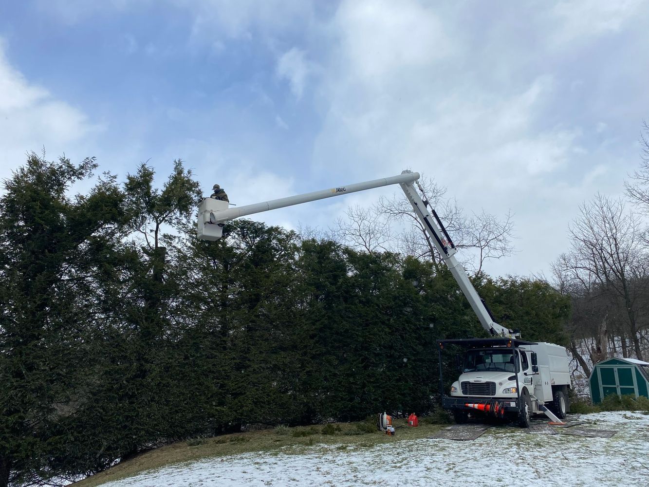 Adler Tree Service & Landscaping