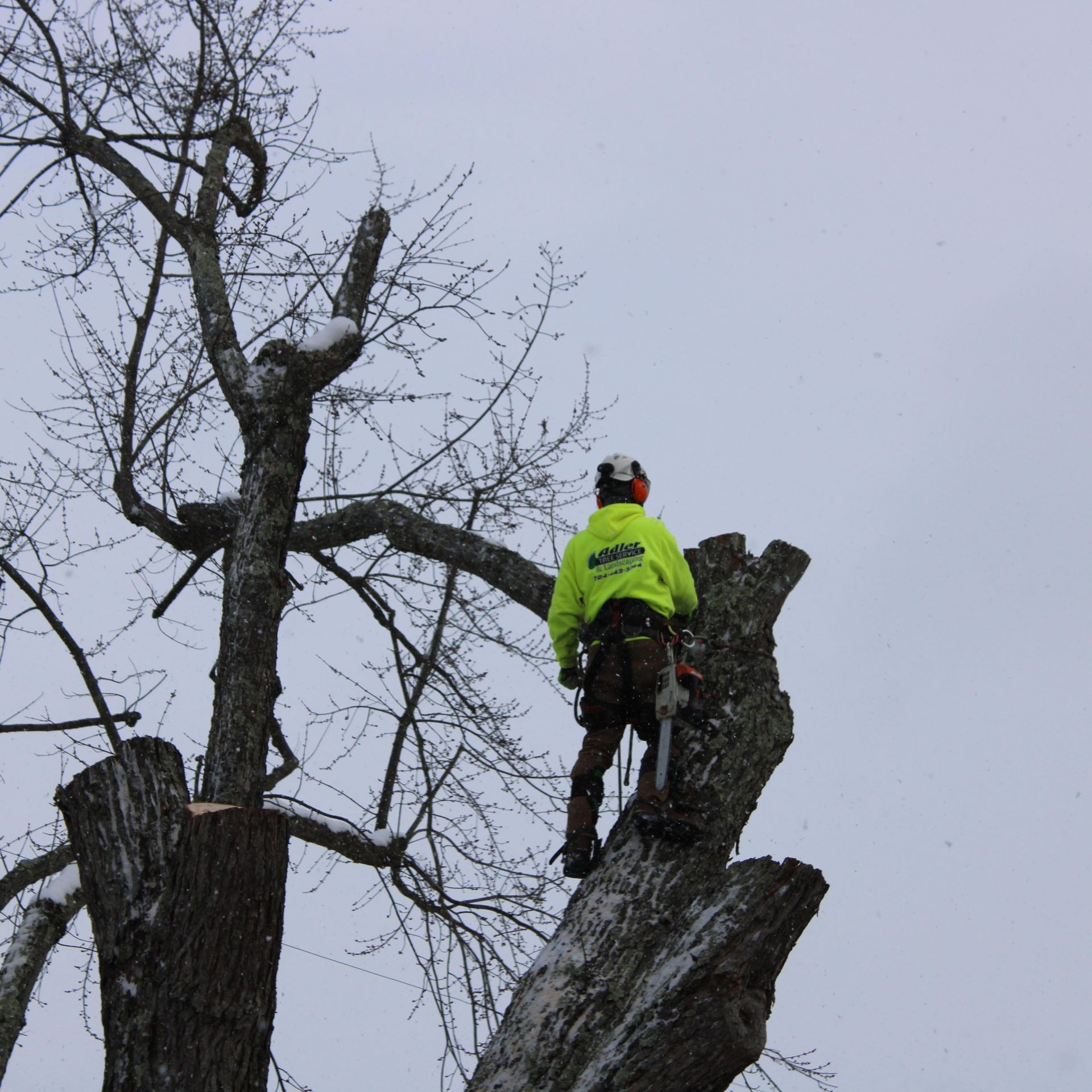 A man in a yellow jacket with the word woods on it