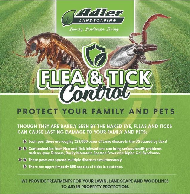 Adler Landscaping flea and tick control ad with ticks on green grass and text about protecting family and pets.