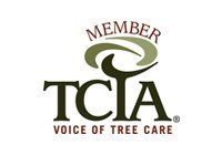 The tcia logo is a member of the voice of tree care.