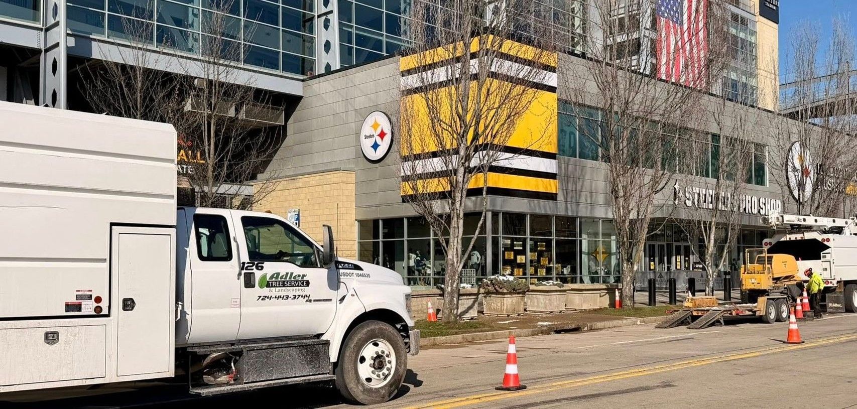 Adler Tree Service & Landscaping