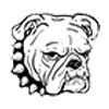 Bulldog head wearing a spiked collar, facing forward with a stern expression.