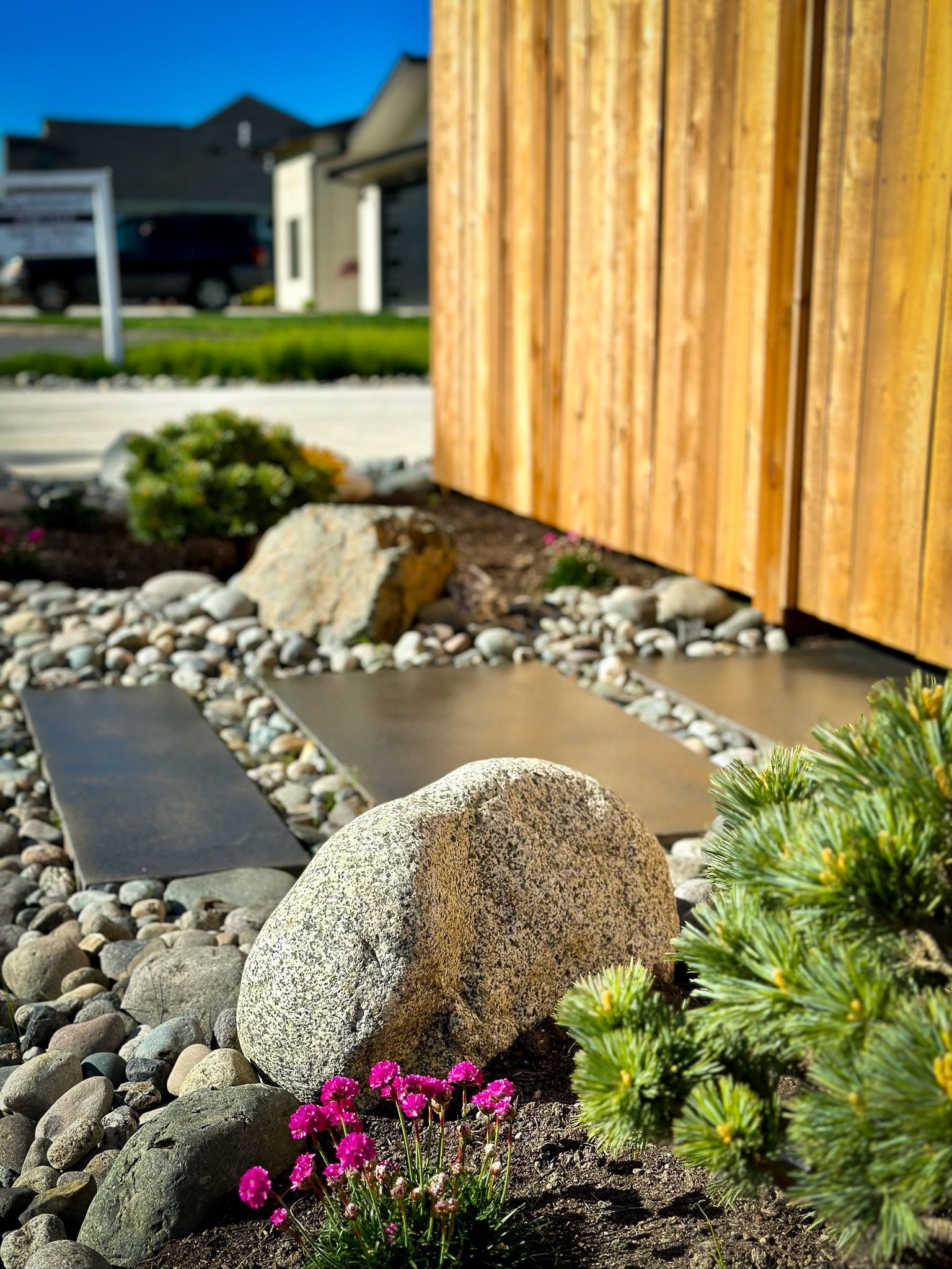 Pathway of stepping stones and stones, surrounded by plants and next to a wooden wall