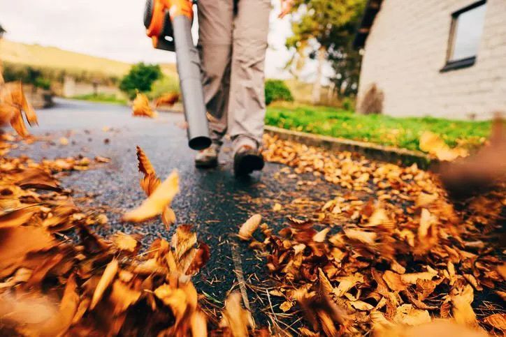 Person using a leaf blower, blowing leaves on a paved path. Autumn leaves are brown and orange