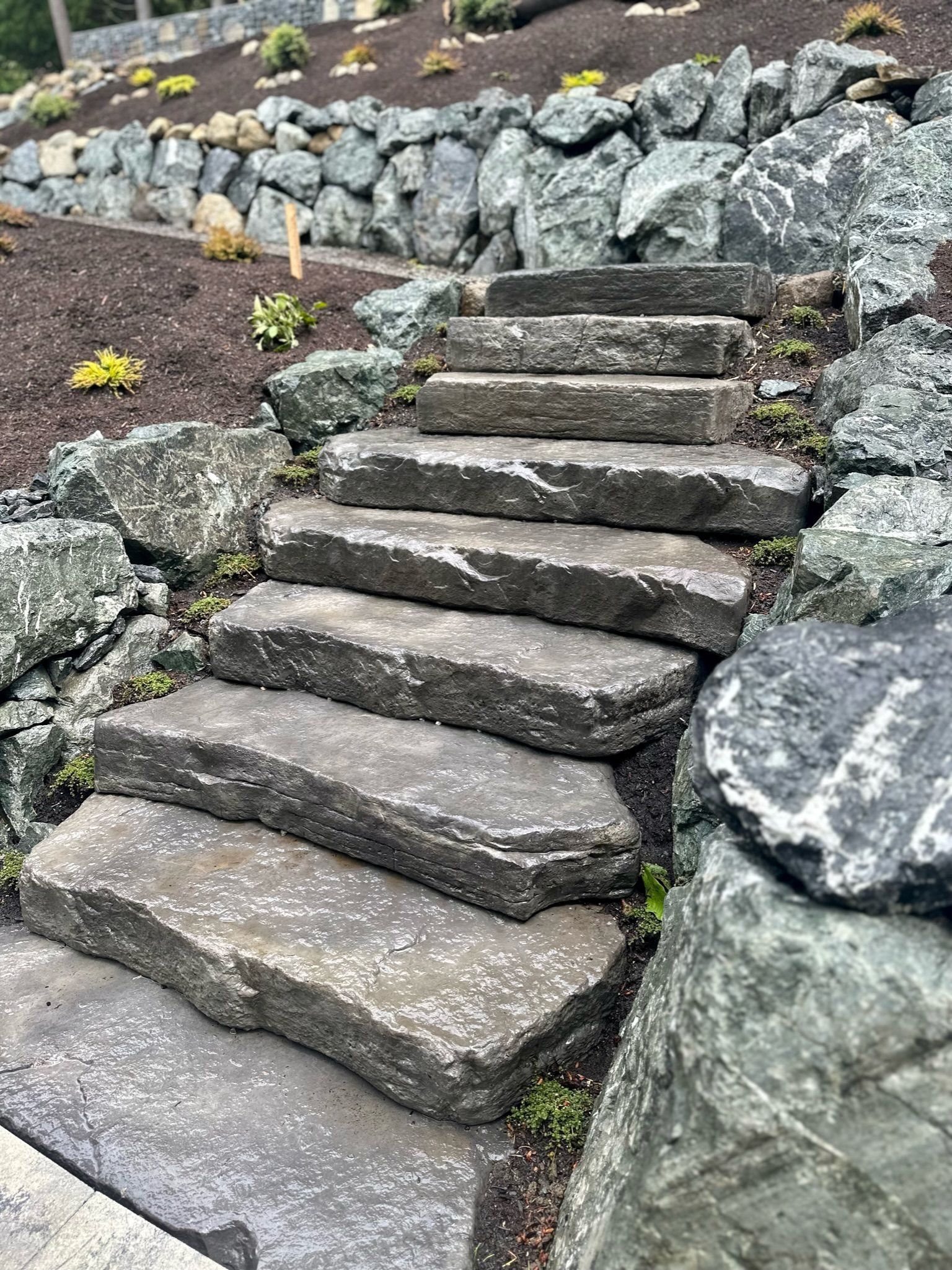 Stone steps ascending a hillside garden with large rocks and mulch.
