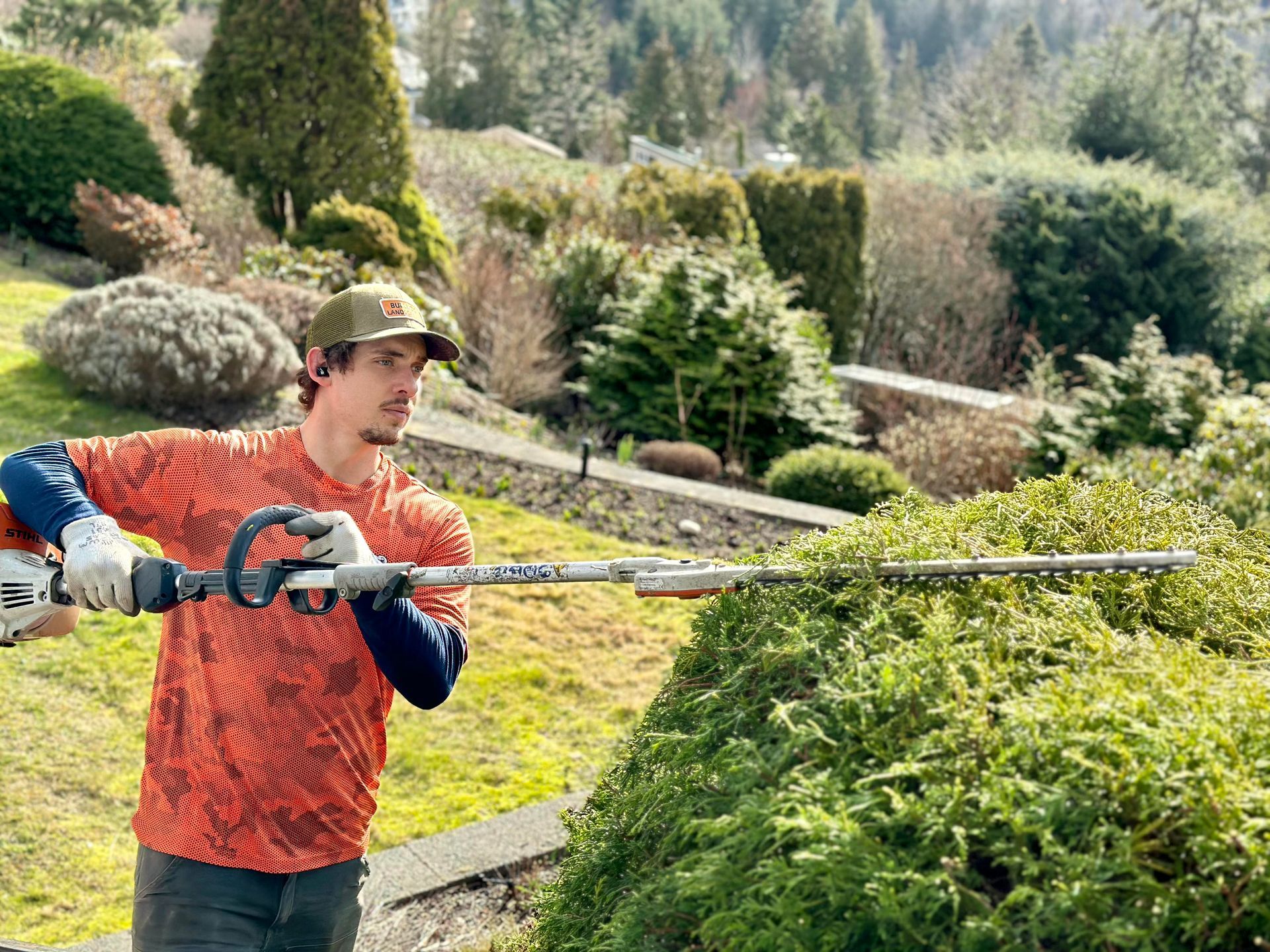 Man trimming a hedge with electric hedge trimmer outdoors. Green plants and foliage in background.
