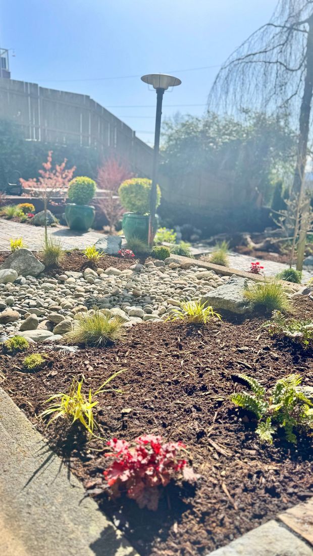 Sunlit garden bed with mulch, rocks, and various plants; tall black lamp post.