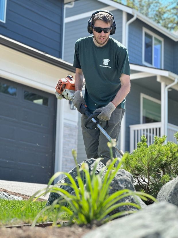 Man using a trimmer to shape plants in front of a blue house. He's wearing ear protection, a green shirt, and safety glasses.
